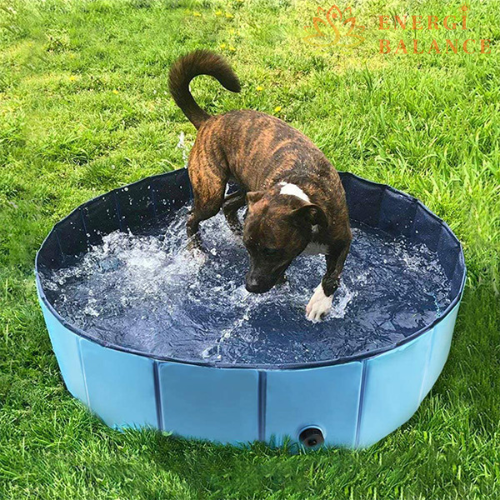 PETPOOL™  - PISCINA PARA MASCOTAS