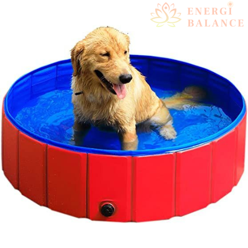 PETPOOL™  - PISCINA PARA MASCOTAS