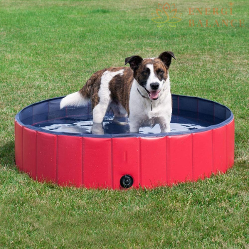 PETPOOL™  - PISCINA PARA MASCOTAS